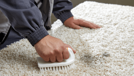 Professional Rug Cleaning Murgheboluc